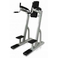 Protrain V8-301 из каталога стоек турник брусья-пресс в Тольятти по цене 119700 ₽