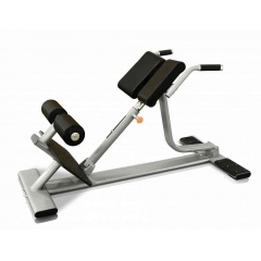 Protrain V8-303 из каталога гиперэкстензий в Тольятти по цене 101750 ₽